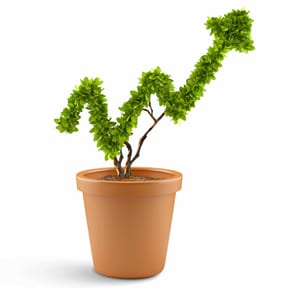 23975699 - plant in pot shaped like graph  wealth concept